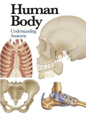 Human Body: Understanding Anatomy - Jane de Burgh - cover