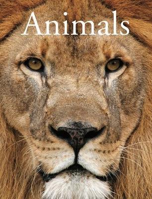 Animals - David Alderton - cover