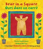 Bear in a Square / Ours dans un carre