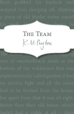 The Team - K M Peyton - cover