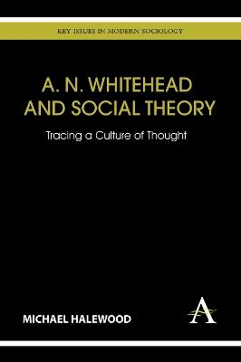 A. N. Whitehead and Social Theory: Tracing a Culture of Thought - Michael Halewood - cover