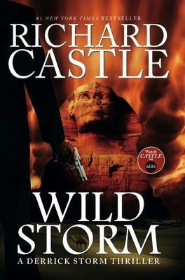 Wild Storm: A Derrick Storm Novel - Richard Castle - cover