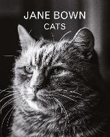 Jane Bown: Cats - Jane Bown - cover