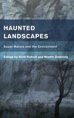 Haunted Landscapes: Super-Nature and the Environment - cover