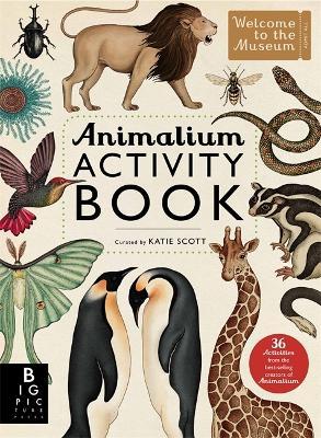 Animalium Activity Book - cover