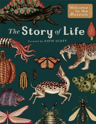 The Story of Life: Evolution (Extended Edition) - Ruth Symons - cover