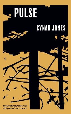 Pulse - Cynan Jones - cover
