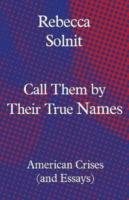 Call Them by Their True Names: American Crises (and Essays) - Rebecca Solnit - cover