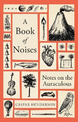 A Book of Noises: Notes on the Auraculous - Caspar Henderson - cover