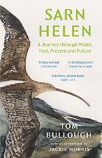 Sarn Helen: A Journey Through Wales, Past, Present and Future