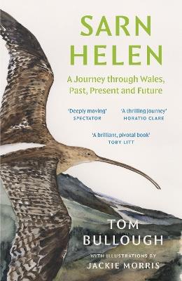 Sarn Helen: A Journey Through Wales, Past, Present and Future - Tom Bullough - cover