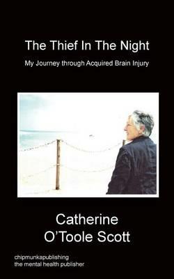 The Thief In The Night - Catherine O'Toole Scott - cover