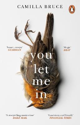 You Let Me In: The acclaimed, unsettling novel of haunted love, revenge and the nature of truth - Camilla Bruce - cover
