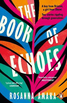 The Book Of Echoes: An astonishing debut. 'Impassioned. Lyrical and affecting' GUARDIAN - Rosanna Amaka - cover