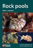 Rock pools - Peter J. Hayward - cover