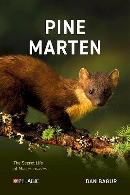Pine Marten: The Secret Life of Martes martes - Dan Bagur - cover