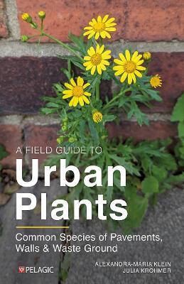 A Field Guide to Urban Plants: Common Species of Pavements, Walls and Waste Ground - Alexandra-Maria Klein,Julia Krohmer - cover