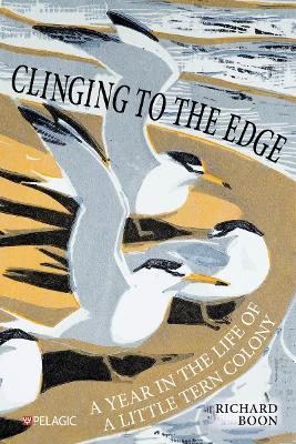 Clinging to the Edge: A Year in the Life of a Little Tern Colony - Richard Boon - cover