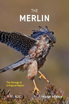 The Merlin: The Ecology of a Magical Raptor - Frank Rennie - cover
