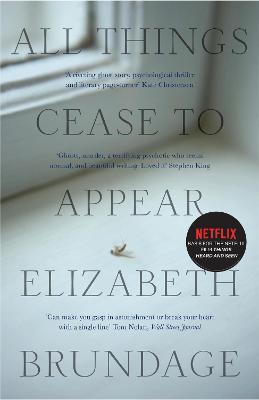 All Things Cease to Appear: now a major Netflix new release Things Heard and Seen - Elizabeth Brundage - cover