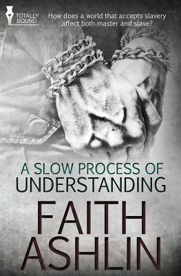 A Slow Process of Understanding - Faith Ashlin - cover