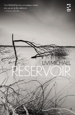 Reservoir - Livi Michael - cover
