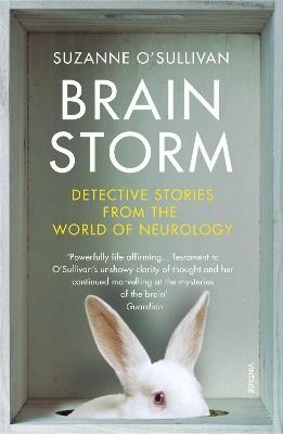 Brainstorm: Detective Stories From the World of Neurology - Suzanne O'Sullivan - cover