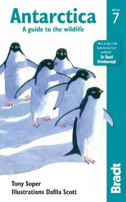 Antarctica: A Guide to the Wildlife - Tony Soper - cover