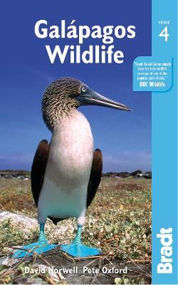 Galapagos Wildlife - David Horwell,Pete Oxford - cover