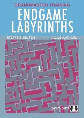 Endgame Labyrinths - Jacob Aagaard - cover