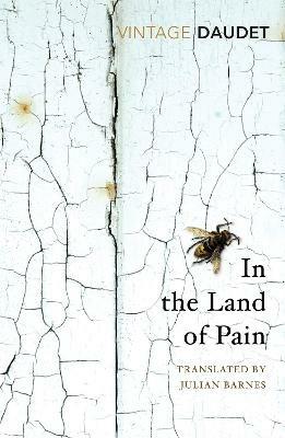 In the Land of Pain - Alphonse Daudet - cover