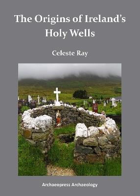 The Origins of Ireland's Holy Wells - Celeste Ray - cover