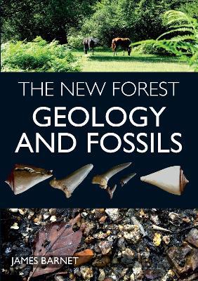 The New Forest: Geology and Fossils - James Barnet - cover