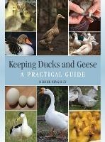 Keeping Ducks and Geese: A Practical Guide - Debbie Kingsley - cover
