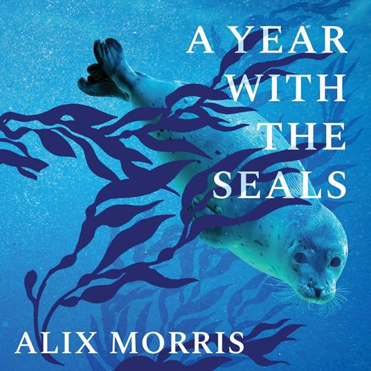 A Year with the Seals