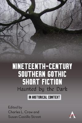 Nineteenth-Century Southern Gothic Short Fiction: Haunted by the Dark - cover