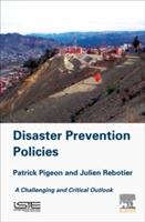 Disaster Prevention Policies: A Challenging and Critical Outlook - Patrick Pigeon,Julien Rebotier - cover