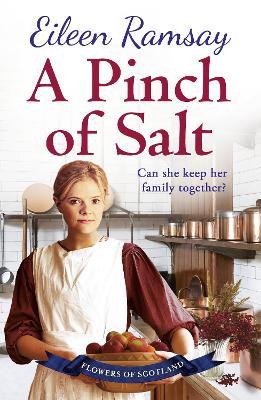 A Pinch of Salt: Escape to the Highlands with a story of love, loss and family this Christmas - Eileen Ramsay - cover