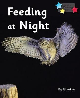 Feeding at Night: Phonics Phase 3 - Jill Atkins,Atkins Jill - cover