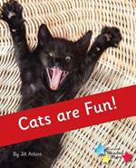 Cats are Fun!: Phonics Phase 4