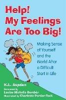Help! My Feelings Are Too Big!: Making Sense of Yourself and the World After a Difficult Start in Life - for Children with Attachment Issues