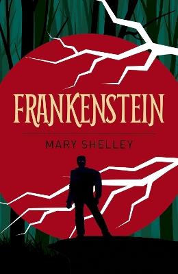 Frankenstein - Mary Shelley - cover