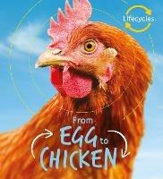 Lifecycles: Egg to Chicken - Camilla de la Bedoyere - cover