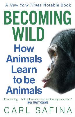 Becoming Wild: How Animals Learn to be Animals - Carl Safina - cover