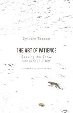 The Art of Patience: Seeking the Snow Leopard in Tibet