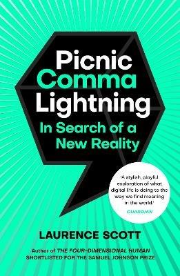 Picnic Comma Lightning: In Search of a New Reality - Laurence Scott - cover