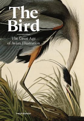 The Bird: The Great Age of Avian Illustration - Philip Kennedy - cover