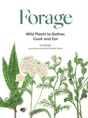 Forage: Wild plants to gather and eat - Liz Knight - cover