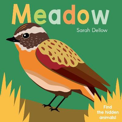 Now you See It! Meadow - Sarah Dellow - cover