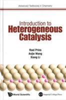 Introduction To Heterogeneous Catalysis - Roel Prins,Anjie Wang,Xiang Li - cover
